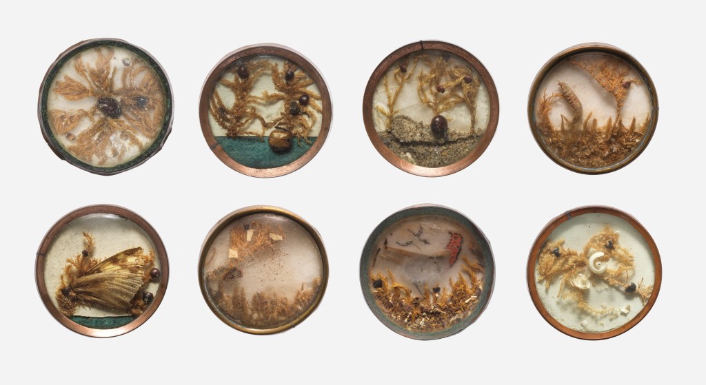 Bottoni Fantastici e Dove Trovarli – Parte&nbsp;1